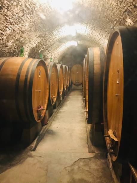 istock Wine Cellar Barrels- Tuscany, Italy 2167050151