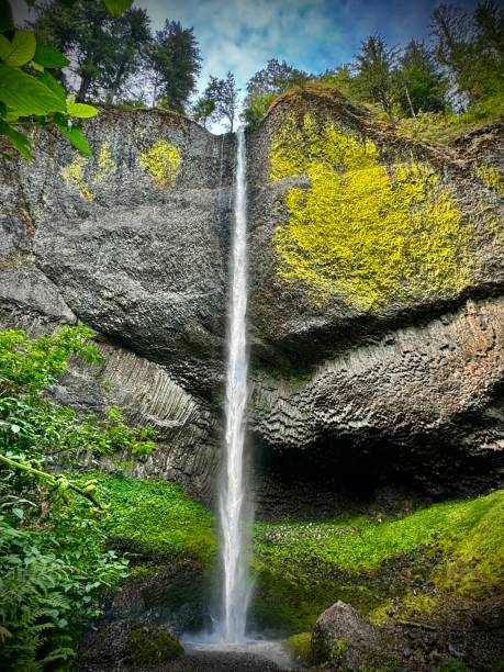 the latourell falls waterfall crashes down 249 feet against a granite cliff face at guy w. talbot state park