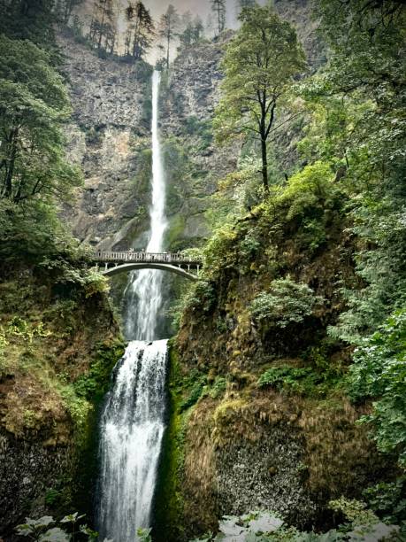 the multnomah falls waterfall splashes its way into the great columbia river gorge near corbett photographing the great colombia river gorge national scenic area near corbett, oregon - u.s.a. oregon state university stock pictures, royalty-free photos & images