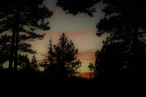 istock Sunset deep in the Big Bear Mountains under the pine trees 2167053979