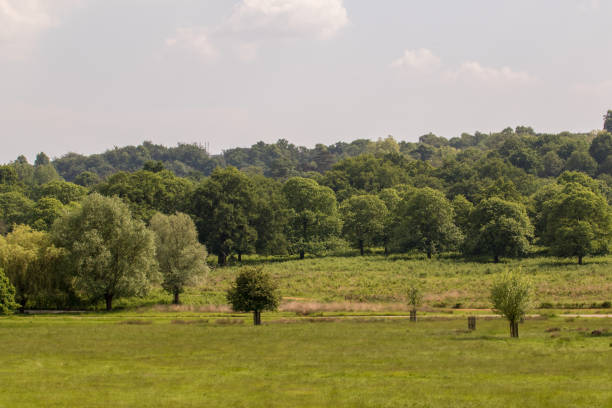 istock Idyllic countryside landscape with lush green fields and trees under a clear sky. 2167054642