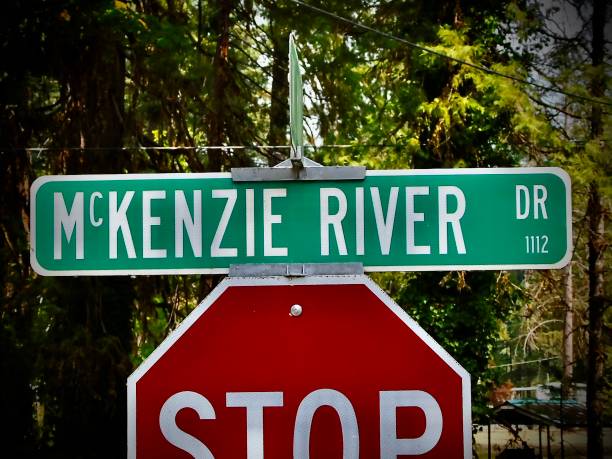 istock mckenzie river dr - reads the green road placard 2167057405