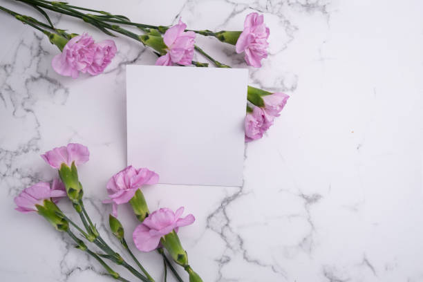 Invitation mockup with pink carnation flowers on light background, copy space for card design. Wedding invitation. International Women's Day, Mother's Day concept