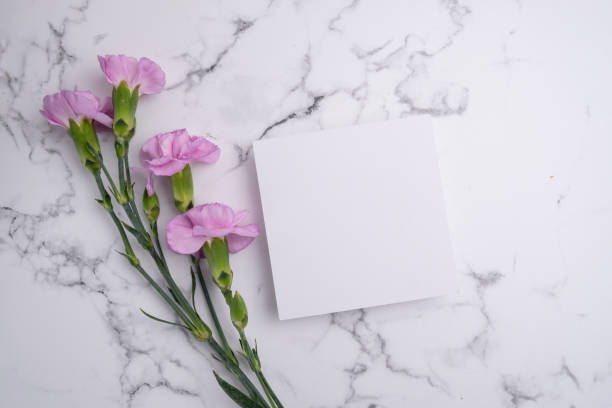 istock Invitation mockup with pink carnation flowers on light background, copy space for card design. Wedding invitation. International Women's Day, Mother's Day concept 2167058010