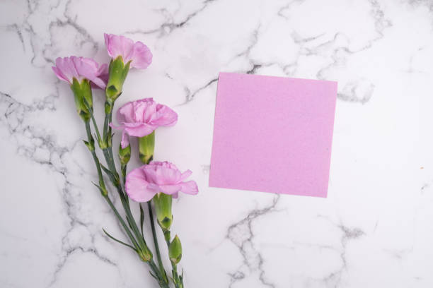 istock Invitation mockup with pink carnation flowers on light background, copy space for card design. Wedding invitation. International Women's Day, Mother's Day concept 2167058011