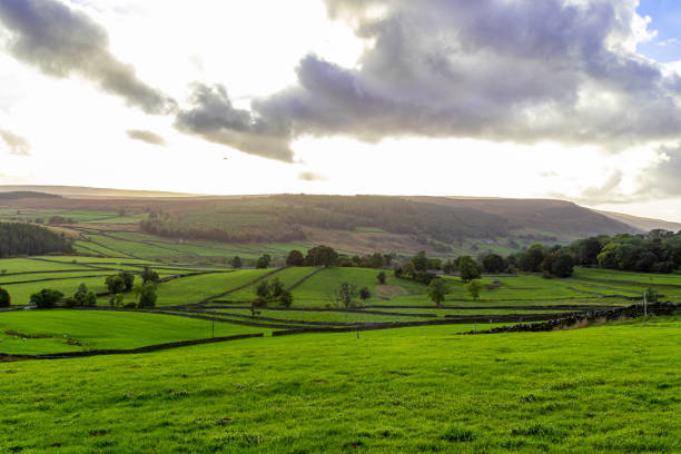 istock Idyllic countryside landscape with green fields, stone walls, and rolling hills under a cloudy sky. 2167063404