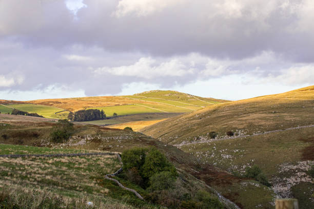 istock Rolling hills with golden sunlight on rural landscape, scattered trees and cloudy sky. 2167063414