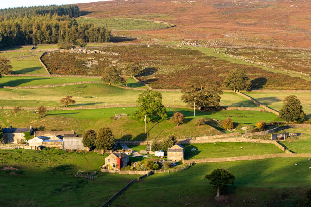istock Rural landscape with scattered houses, green fields, and rolling hills under a clear sky. 2167063701