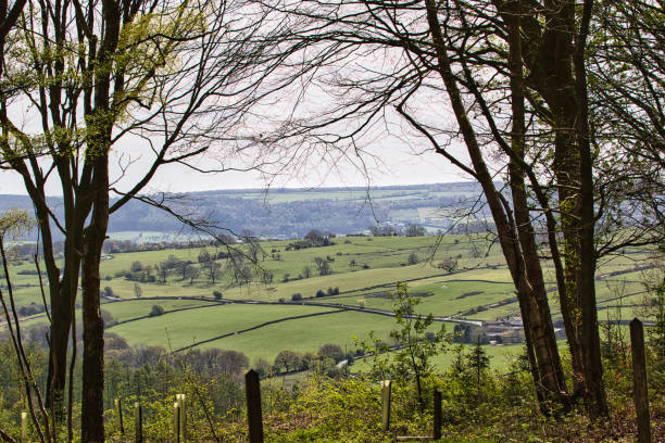 istock Green Countryside Vista 2167063864