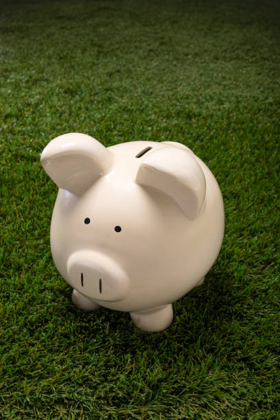 Large white piggy bank on green grass symbolizing the concept watching your money grow through investing