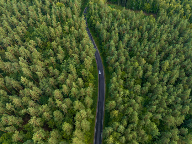 istock Road through the forest. Drone shot. 2167066812