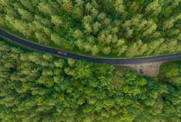istock Road through the forest. Drone shot. 2167066906