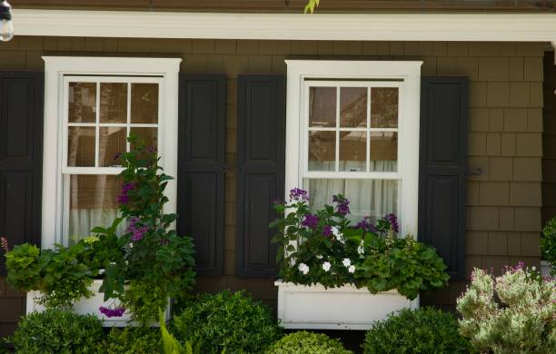 istock Vintage sash window with flower box and shutters 2167070310