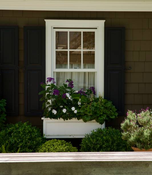 istock Vintage sash window with flower box and shutters 2167070312