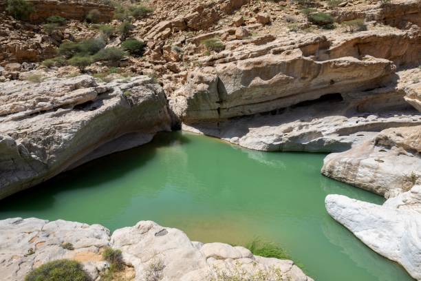 istock River in Wadi Bani Khalid, Oman 2167073249