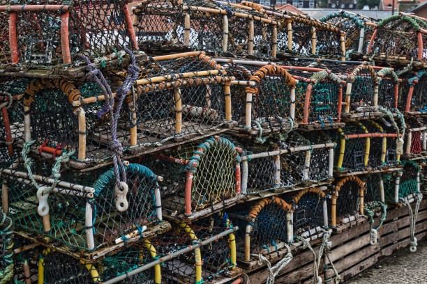 istock Stack of colorful lobster traps on a dock 2167073530