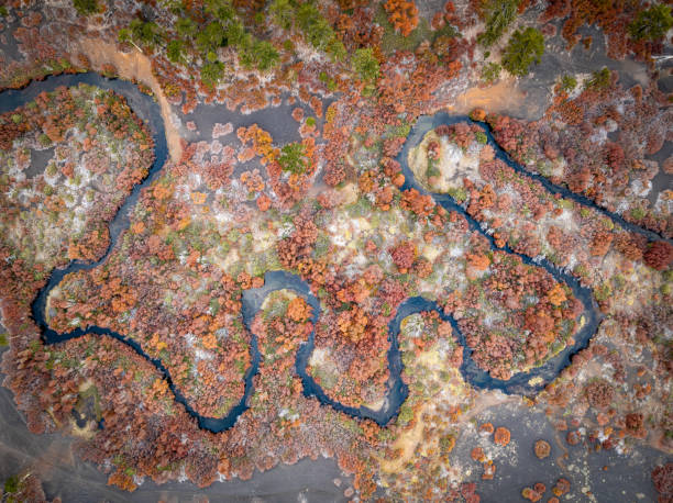 istock Winding stream flowing through an autumn forests 2167073541