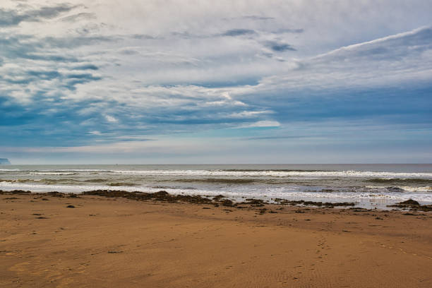 A serene beach with gentle waves under a cloudy sky, featuring a vast sandy shore and seaweed scattered along the coastline.