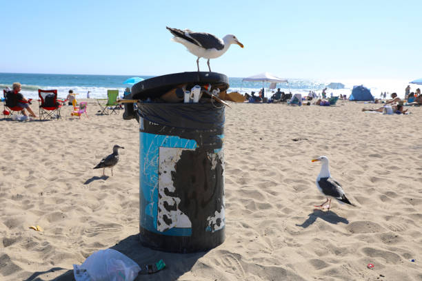 Responsible waste disposal to protect both  the environment and the wildlife