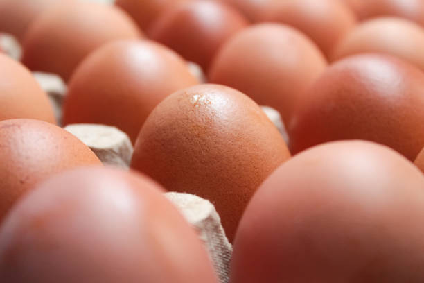 istock close-up of several raw chicken eggs in a cardboard 2167090946