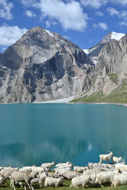 istock the paradise lake at Wusun ancient path, Xinjiang, China 2167096324