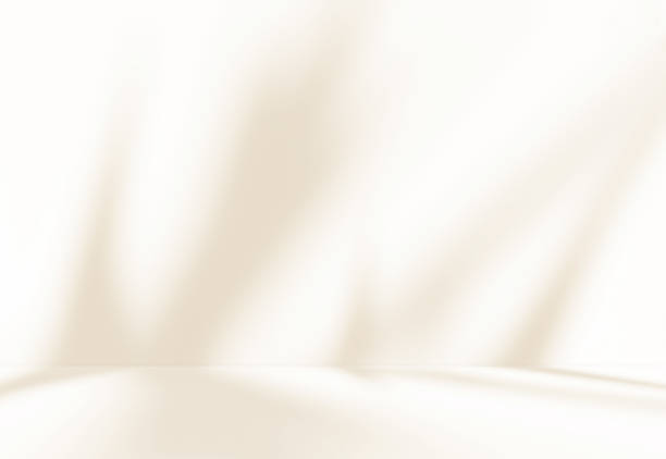 istock Empty cream beige room studio with shadow of leaves for product presentation. 2167096532