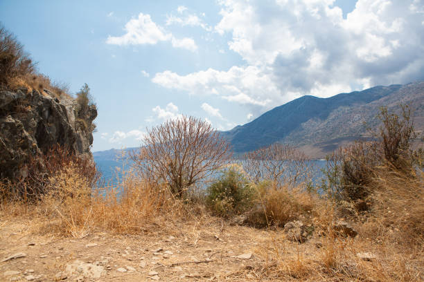 Rocky coastline with dry brush overlooking a tranquil bay with mountains in the background on a partly cloudy day