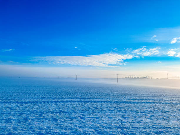 Park with snow