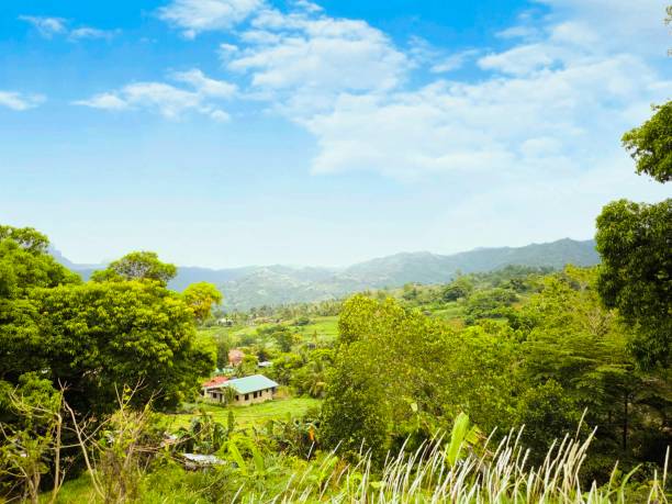 istock Sunny blue skies mountain landscaping 2167115027