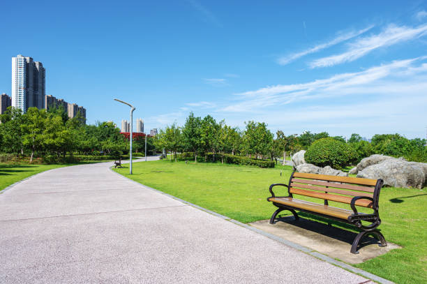Curved path through the beautiful city park