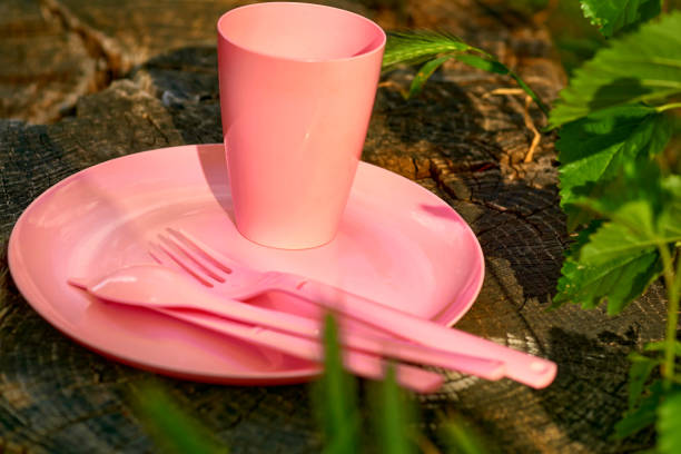istock Camping, picnic. Pink plastic dinnerware set.Cup,plate,fork,knife,spoon on stump 2167121125