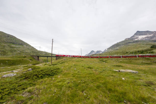 istock Red Train Traversing Green Alpine Meadow under Overcast Sky 2167127787