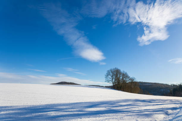 Wooden barn and landscape panorama with snow-capped mountains in sunset mood in Allgäu, Bavaria, Germany in winter