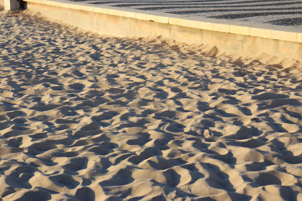 Sand from the beach, right next to a stone pavement