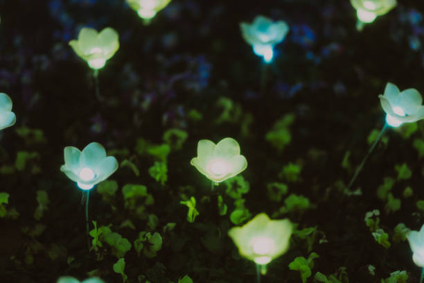 Beautiful illuminations in Tochigi Prefecture