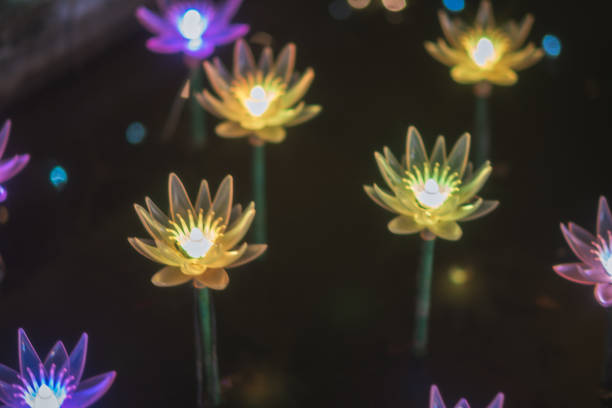 Beautiful illuminations in Tochigi Prefecture
