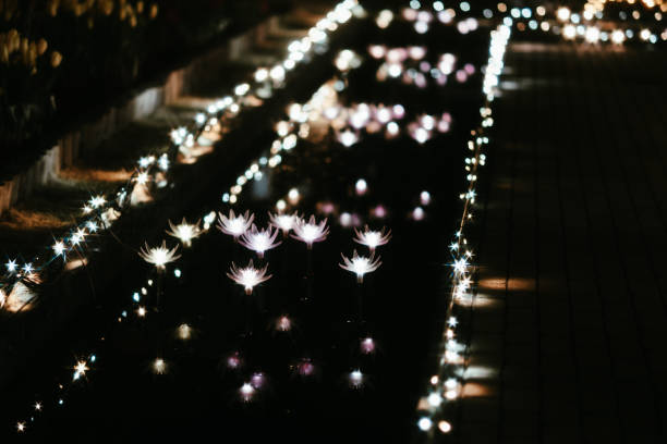 Lights at Lafarge - British Columbia Lower Mainland's largest free outdoor lights display at Lafarge Lake in Town Centre Park (Coquitlam).