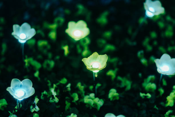 Beautiful illuminations in Tochigi Prefecture