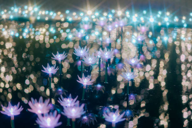 istock Beautiful illuminations in Tochigi Prefecture 2167136311