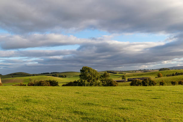 istock Serene countryside landscape with lush green fields under a dynamic cloudy sky. 2167138675