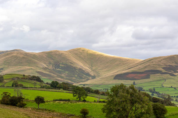 istock Rolling hills with green fields under a cloudy sky, depicting serene rural landscape. 2167139029