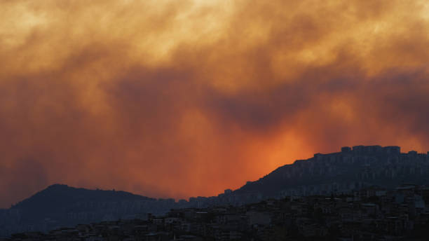 istock Smoke of wildfire at sunset 2167142632
