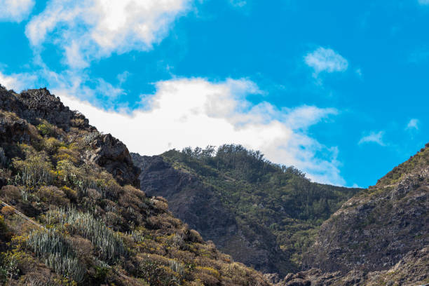 istock Mountain landscape with blue sky and clouds in Tenerife. 2167147054