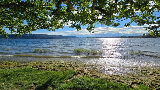 istock Summer vacation on beautiful Lake Constance with blue sky and sun 2167147229