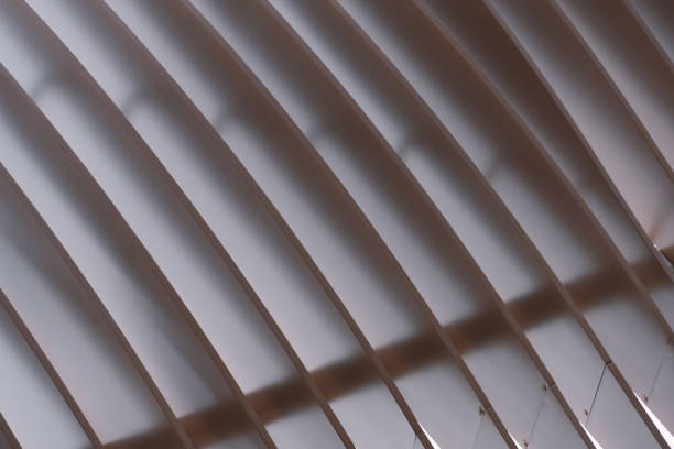 dark white gray of shadow and light curve abstract background