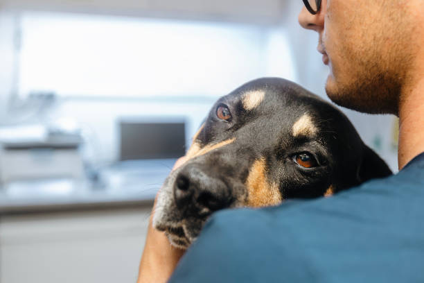 istock Man hugging sick dog at veterinary clinic 2167149788