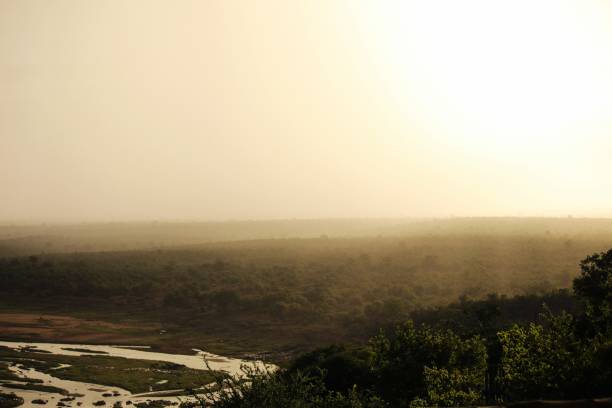 istock misty morning over the river 2167149827