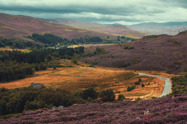 Scottish landscape from the A939 Grantown on Spey to Ballater, Highlands of Scotland.