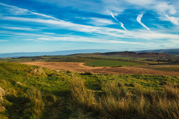 istock Scenic landscape with lush green fields, rolling hills, and a clear blue sky with wispy clouds at Sycamore Gap, Northumberland, UK. 2167155644