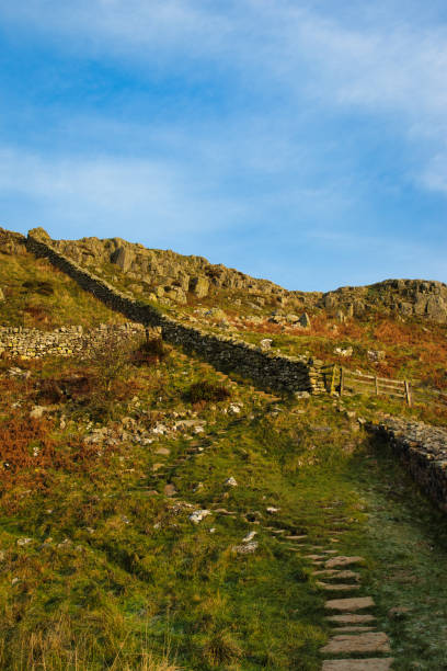 istock Stone path leading up a hill with lush greenery under a clear blue sky at Sycamore Gap, Northumberland, UK. 2167155854